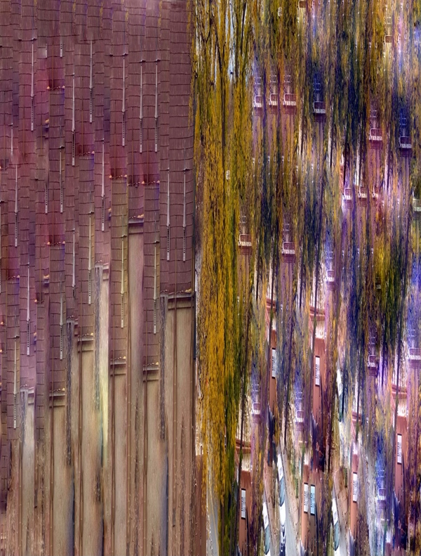 The Tidal Garden: City Reflections Licensing Portfolio