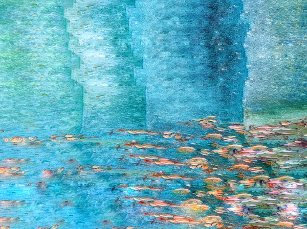 The Tidal Garden: Turquoise Pool Licensing Portfolio
