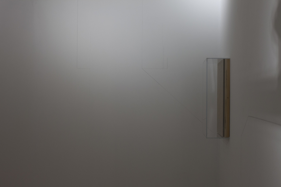 projection room Leah Cooper projection room materials include: wall vitrines, graphite, light, and shadow, and existing site elements