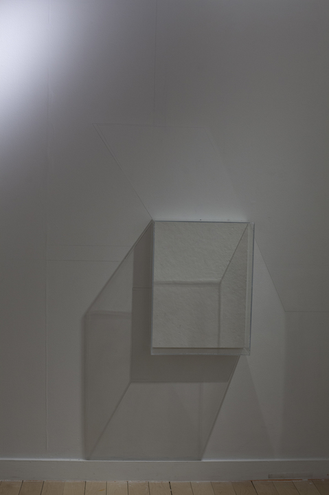 projection room Leah Cooper projection room materials include: wall vitrines, graphite, light, and shadow, and existing site elements
