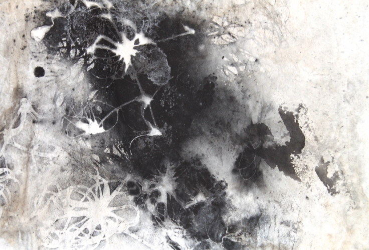 Clematis Study Lee Emma Running Botanical Drawings Lamp Black and Walnut Dye on Paper
