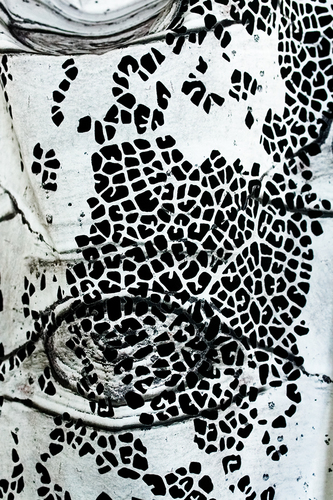 Botanical Life, Detail Lee Emma Running Botanical Life Hand cut custom printed fabric
