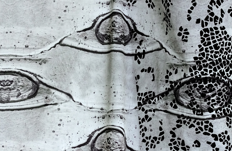 Botanical Life, Detail Lee Emma Running Botanical Life Hand cut custom printed fabric