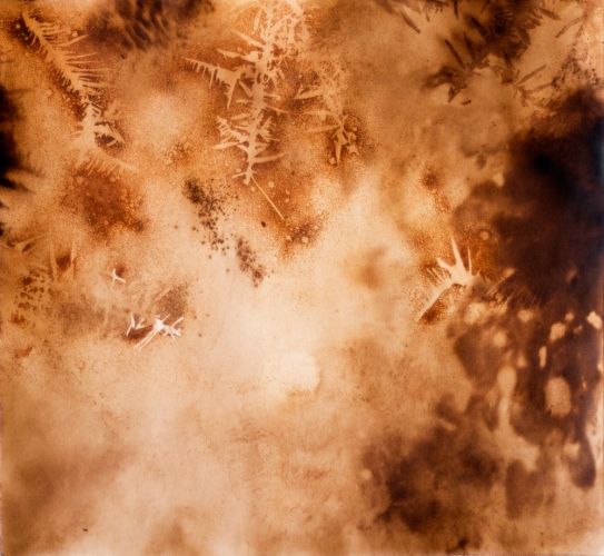 Water Catalyst 1 Lee Emma Running Water Catalyst Rust and walnut dye on paper