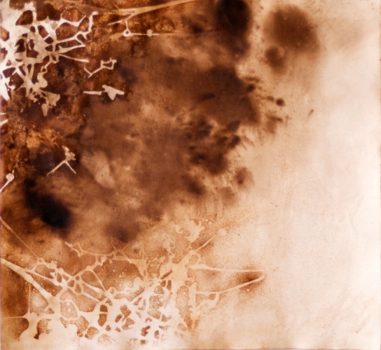 Water Catalyst 2 Lee Emma Running Water Catalyst Rust and walnut dye on paper