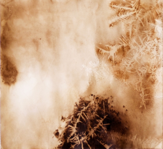 Water Catalyst 5 Lee Emma Running Water Catalyst Rust and walnut dye on paper