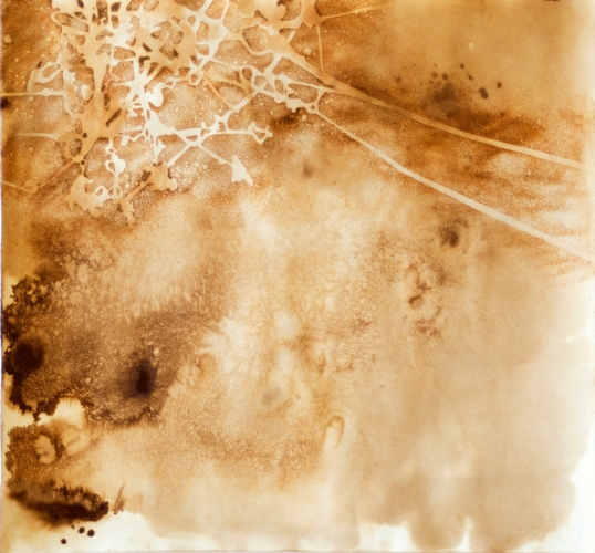 Water Catalyst 3 Lee Emma Running Water Catalyst Rust and walnut dye on paper