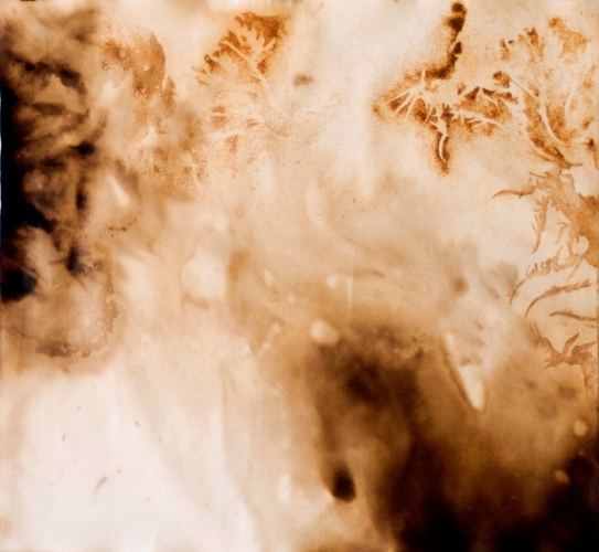 Water Catalyst 4 Lee Emma Running Water Catalyst Rust and walnut dye on paper