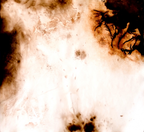 Water Catalyst 6 Lee Emma Running Water Catalyst Rust and walnut dye on paper