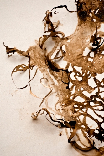 Roots, Detail Lee Emma Running Cut Paper Walnut Dye and Rust Stain, Cut Paper