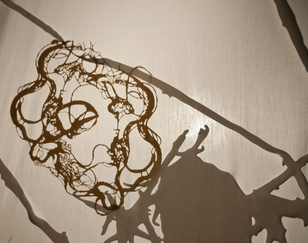 Swailing Lee Emma Running Swailing Cut paper and vinyl on backlit cotton screen.
