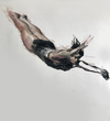 Flying Girl i  FLYING ACROBATS charcoal on paper