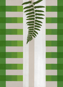 Linda Stillman Botanicals acrylic, pencil, fern, varnish on paper