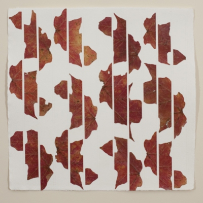 Linda Stillman Botanicals dried leaves, acrylic medium on paper