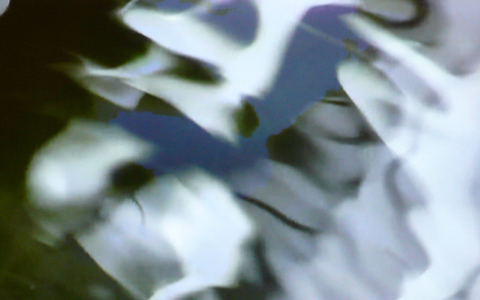 Video still from "Ultimatelessness (States of Being" New Image Gallery / Sept. 16-Oct. 16, 2013 / Harrisonburg, VA