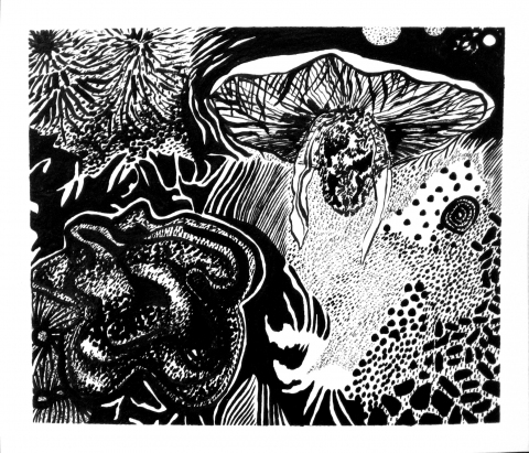 Aquatic Study 1 (Moon Jelly, Spirobranchus grandis and Nudibranch Ribbon) On Paper Gouache on Watercolor Paper