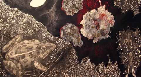 La Grenouille Tragique On Paper Graphite, charcoal, acrylic and gouache on watercolor paper