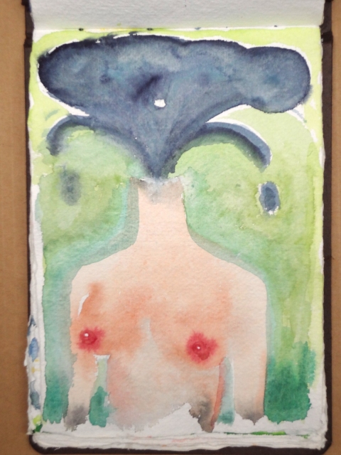 Brown Book India/Germany 2005-8 watercolor on handmade paper