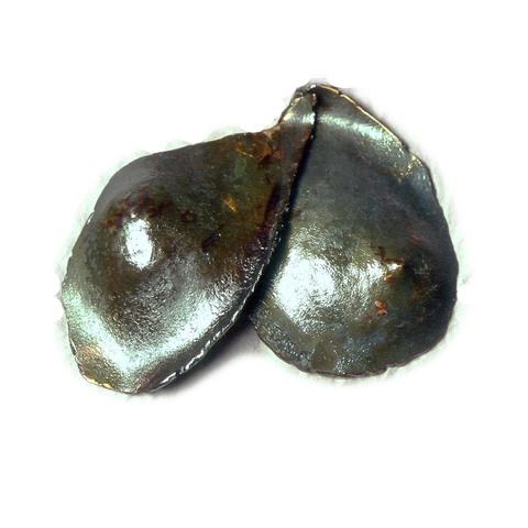 Armour (breastplate) Sculpture Hammered Steel