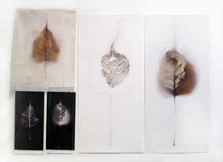 Luisa Sartori In & Out digital prints on paper and on waxed vellum