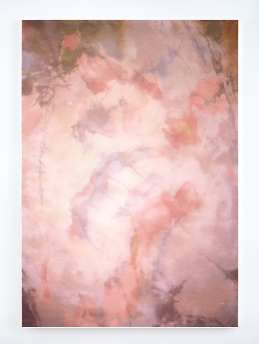 Who We Are Marc Handelman Aggregates Oil and projection-screen glass on canvas