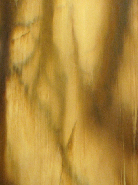 Dimension Stone VI, (detail) Marc Handelman Geological Sketches at Home and Abroad Oil on canvas, Mahogany frame