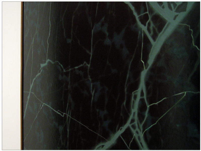 Dimension Stone VII, (detail) Marc Handelman Geological Sketches at Home and Abroad Oil on canvas, Mahogany frame
