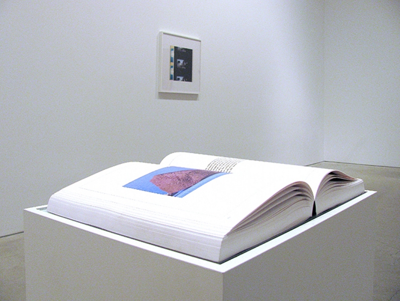 Archive for a Mountain Marc Handelman Archive for a Mountain Sikkema Jenkins & Co. March 2011