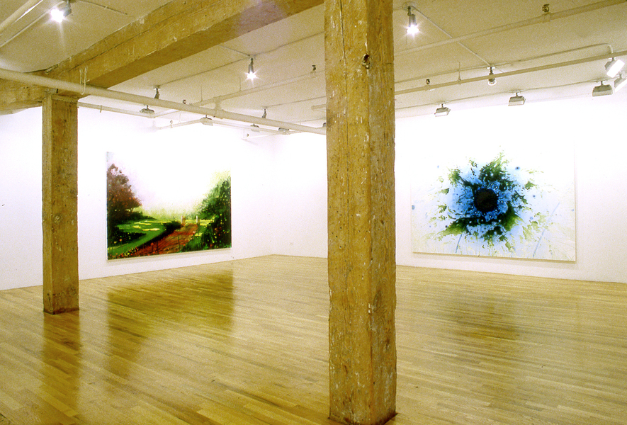 Warm White Blizzard, at Lombard-Freid Projects New York, September 10 - October 10, 2004 Marc Handelman Warm White Blizzard