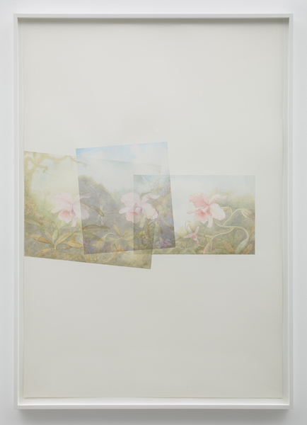 Close-up, No People, Scenics Marc Handelman Focus on Foreground, Foliage, Non-Urban Watercolor on paper