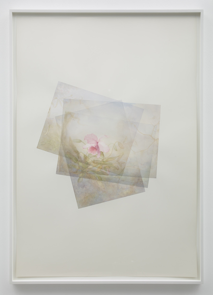Flower Head, Idyllic, Vertical Marc Handelman Focus on Foreground, Foliage, Non-Urban Watercolor on paper