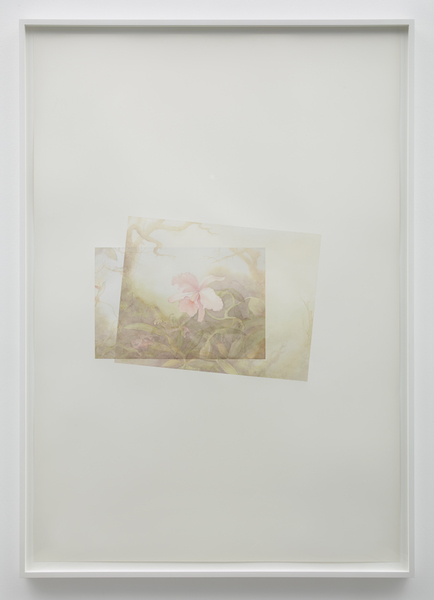 Focus on Foreground, Foliage, Non-Urban Marc Handelman Focus on Foreground, Foliage, Non-Urban Watercolor on paper