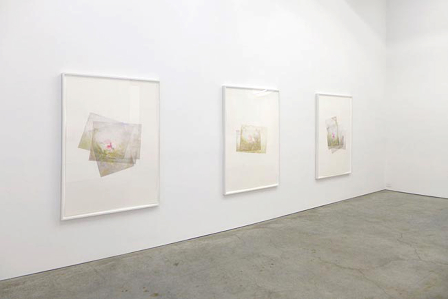 Installation view Marc Handelman Focus on Foreground, Foliage, Non-Urban September 2 - October 4, 2014