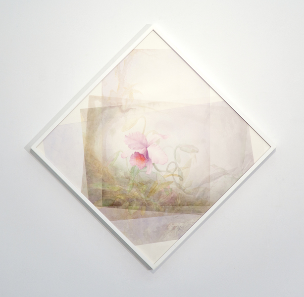 Tropics, Mist, Traditional Marc Handelman Focus on Foreground, Foliage, Non-Urban Watercolor on paper