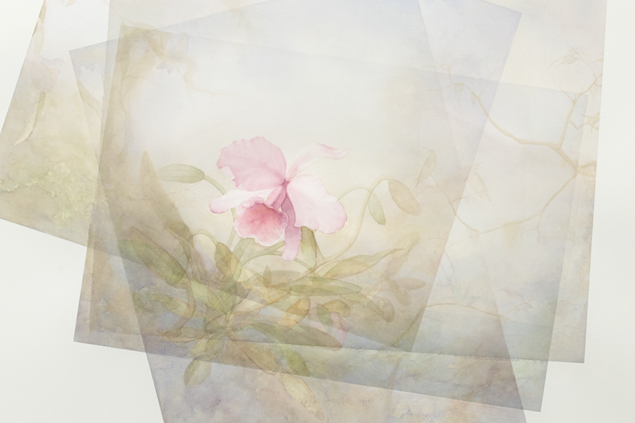 Flower Head, Idyllic, Vertical Marc Handelman Focus on Foreground, Foliage, Non-Urban