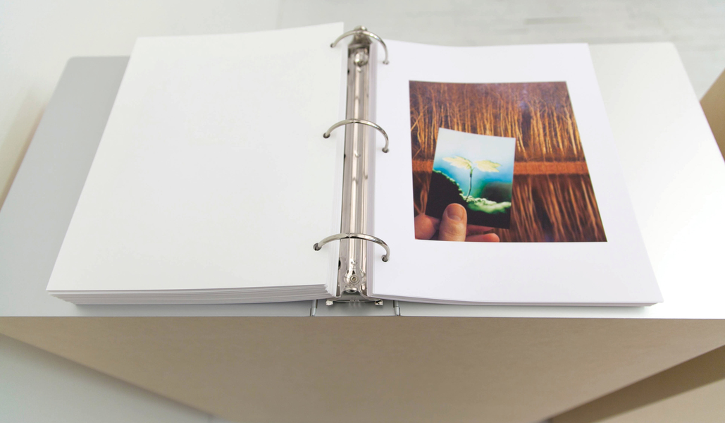 Marc Handelman Other Projects and works Marc Handelman Other Projects and works