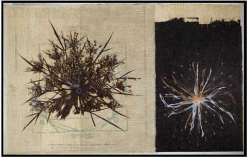  Nature's Math Mixed Media Print: Van Dyke Print, Silkscreen, Relief print, collage