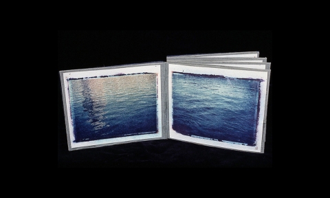  Gowanus Canal Series Artist book with polaroid transfers