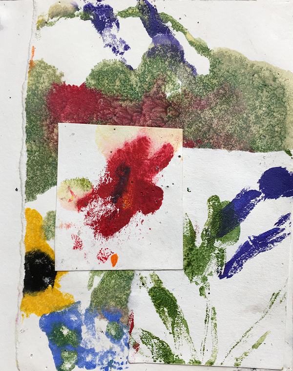 Field Flowers 8 Marianne Gagnier Field flowers series acrylic and paper