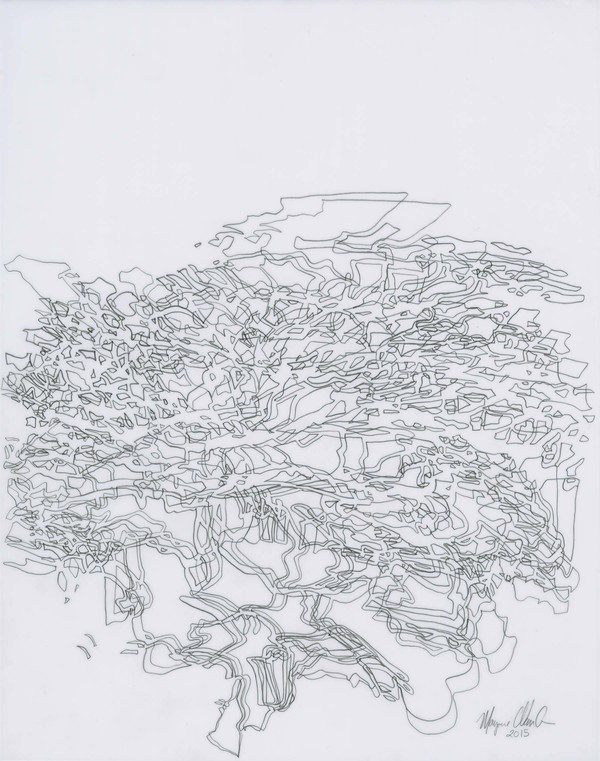 Untitled 0715 Recent Drawings on Film graphite on translucent film