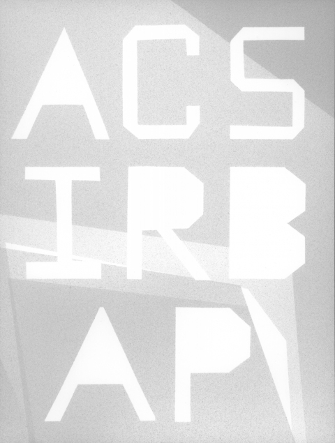 ACSIRBAPA (CRYSTALLINE STRUCTURE IS REPRESENTED BY A POND) mark booth TEXTS Silver acrylic on paper