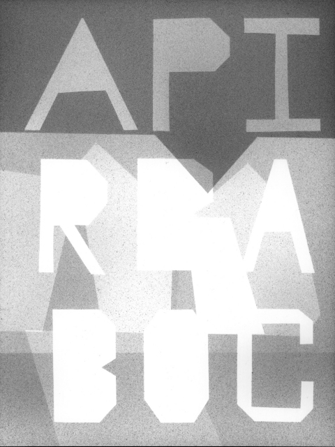 APIRBABOC (A POND IS REPRESENTED BY A BRANCH OF CORAL) mark booth TEXTS Silver acrylic on paper