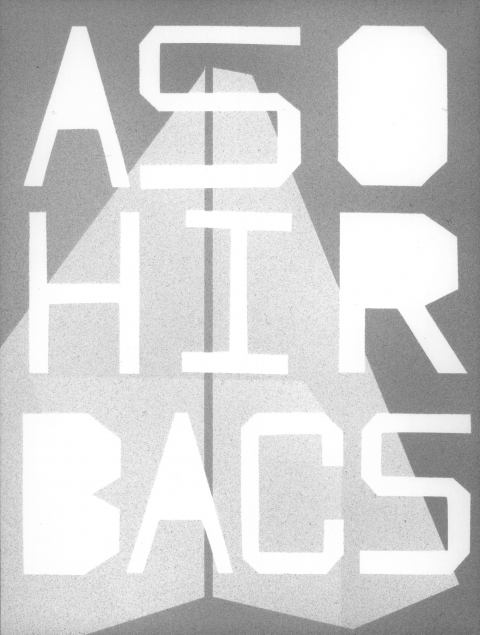 ASOHIRBACS (A SCATTERING OF HAIL IS REPRESENTED BY A CRYSTALLINE STRUCTURE) mark booth TEXTS Silver acrylic on paper