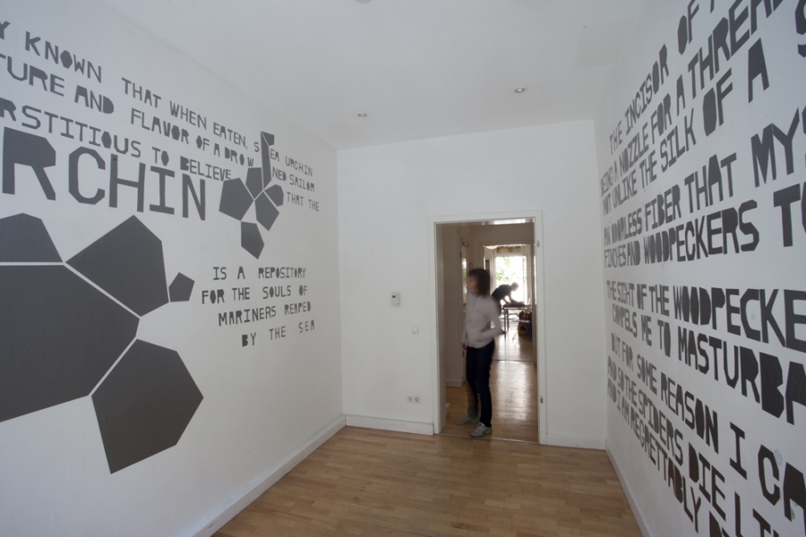 SEA URCHIN and BOBCAT mark booth PIERCEDSTARNIGHTVOICE Installation view