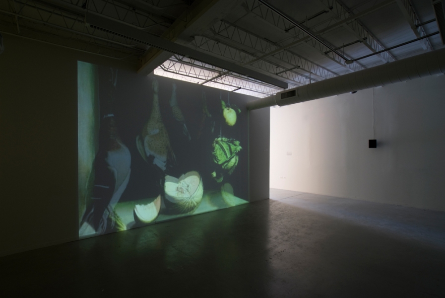 SPANISH STILL LIFE (OR A LONG LIST OF MERGED ANIMALS) mark booth SPANISH STILL LIFE (OR A LARGE LIST OF MERGED ANIMALS) Eight channel audio, two channel video projection, two chromed steel mirrors, and three prints..