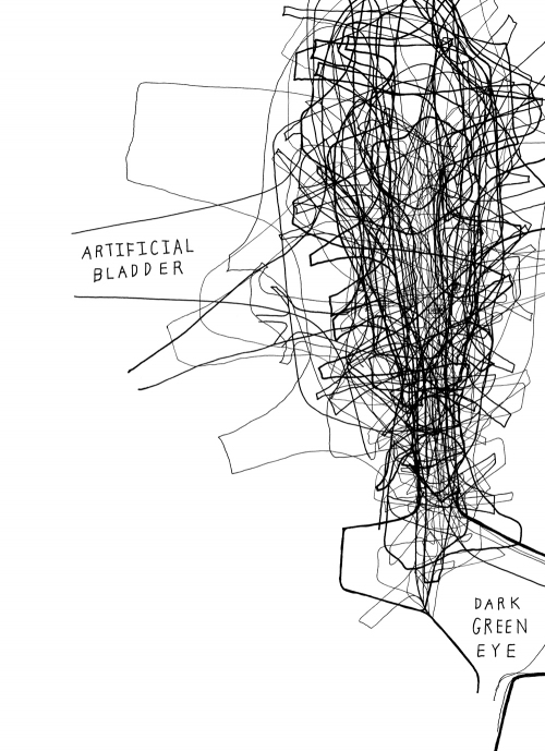mark booth PANDA BEAR INSEMINATION TEAM PICNIC Ink on paper mark booth PANDA BEAR INSEMINATION TEAM PICNIC Ink on paper