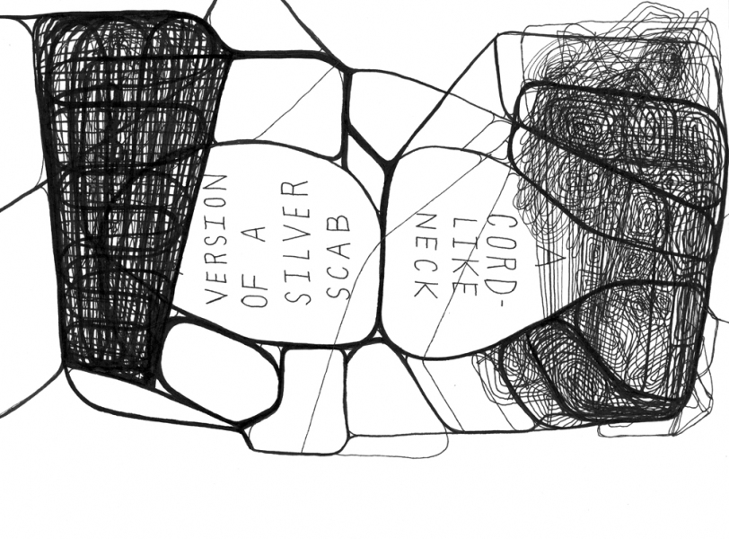 mark booth PANDA BEAR INSEMINATION TEAM PICNIC Ink on paper mark booth PANDA BEAR INSEMINATION TEAM PICNIC Ink on paper