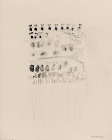 Marsha Gold Gayer Drawings charcoal on paper