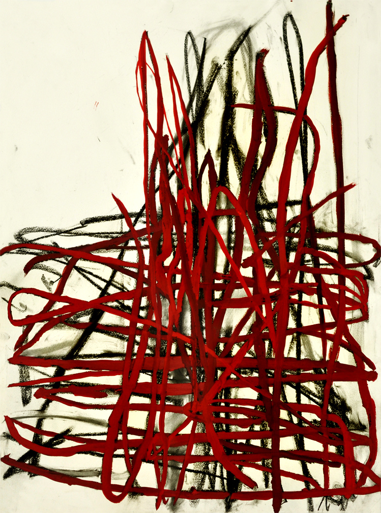 rb2 D R A W I N G charcoal, gouache mixed on paper