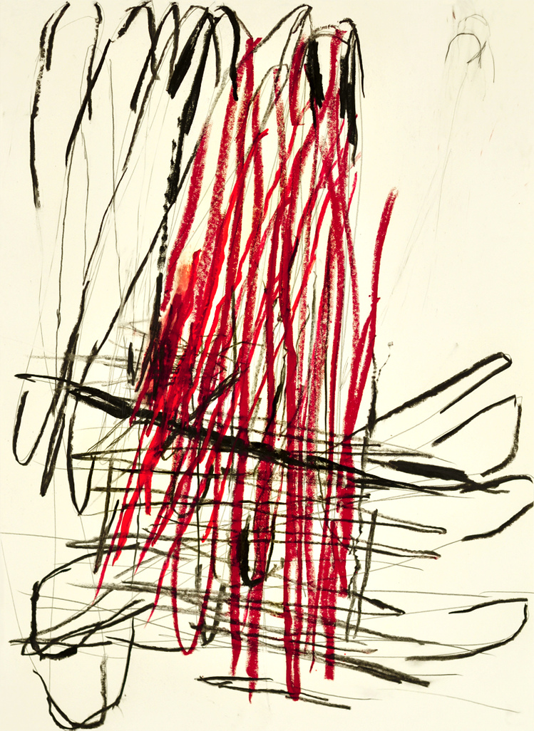 rb3 D R A W I N G graphite, charcoal, oil stick on paper
